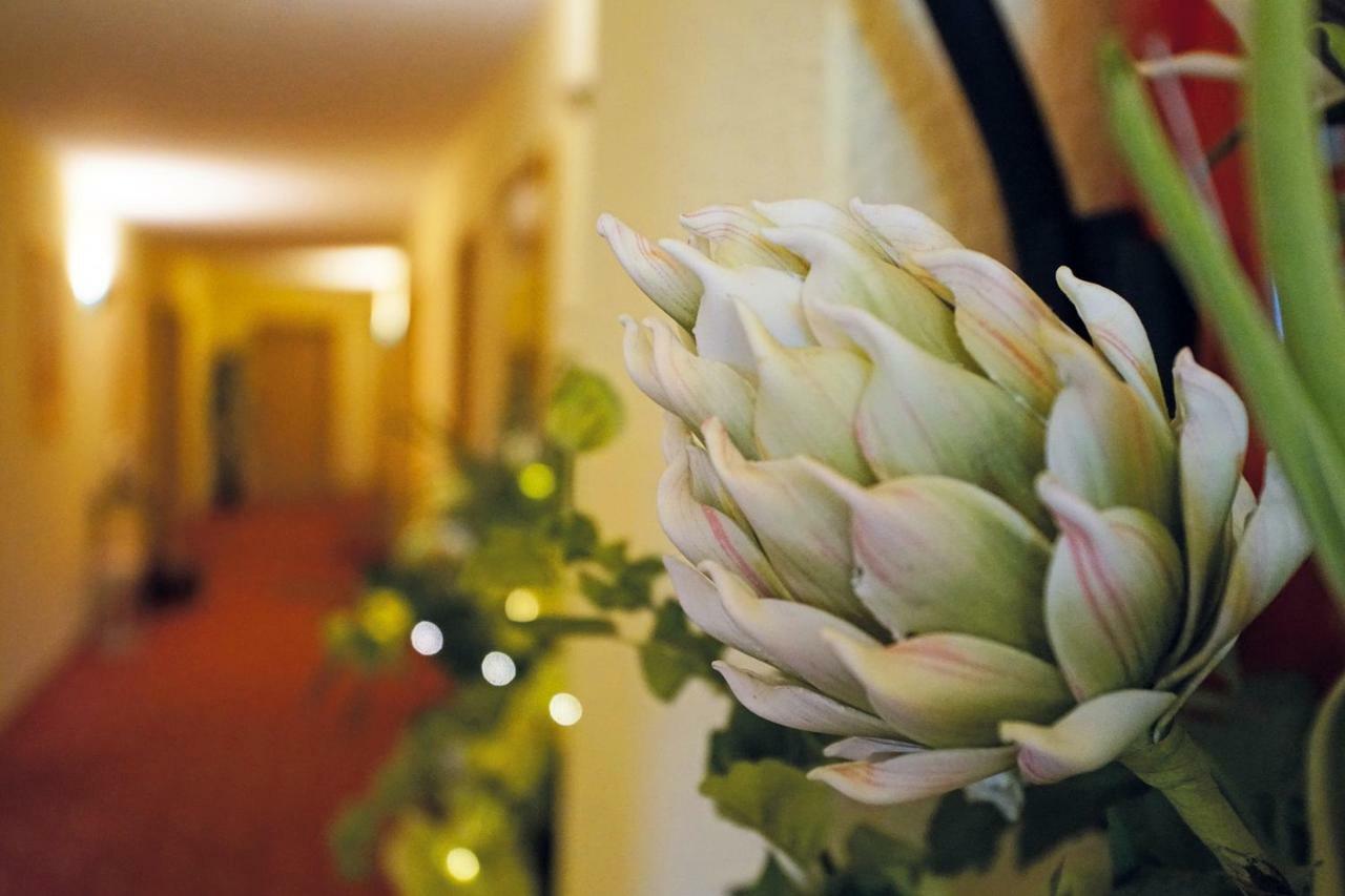 Hotel Und Restaurant Buehlhaus Eibenstock Zewnętrze zdjęcie
