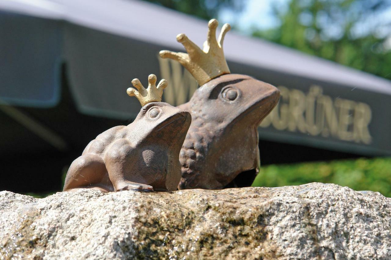 Hotel Und Restaurant Buehlhaus Eibenstock Zewnętrze zdjęcie